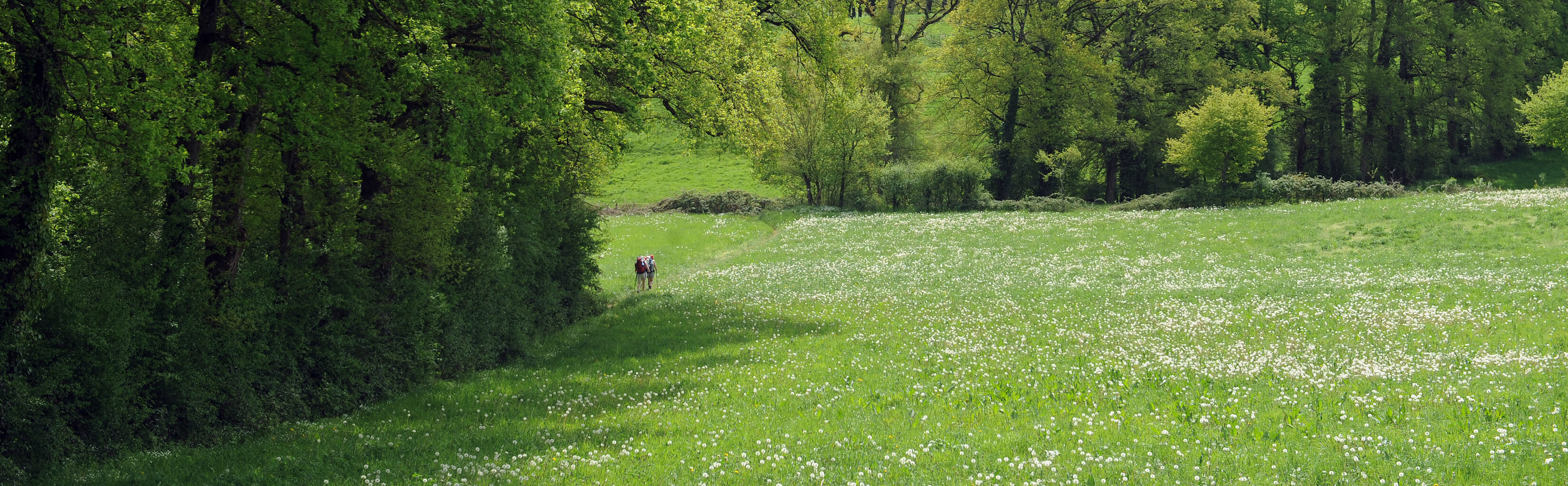 Sentier entre Montredon et Figeac©ACIR / JJ Gelbart